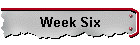 Week Six